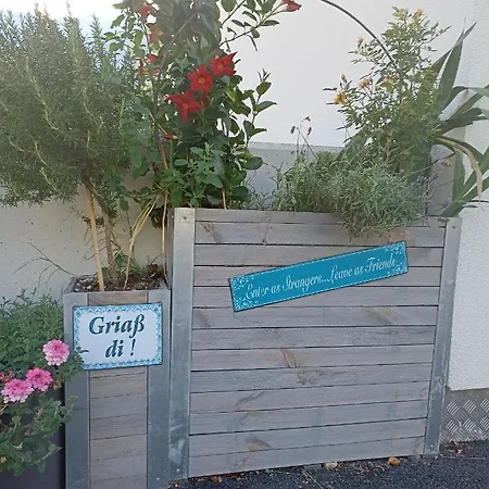 Beim Orgeler فغن