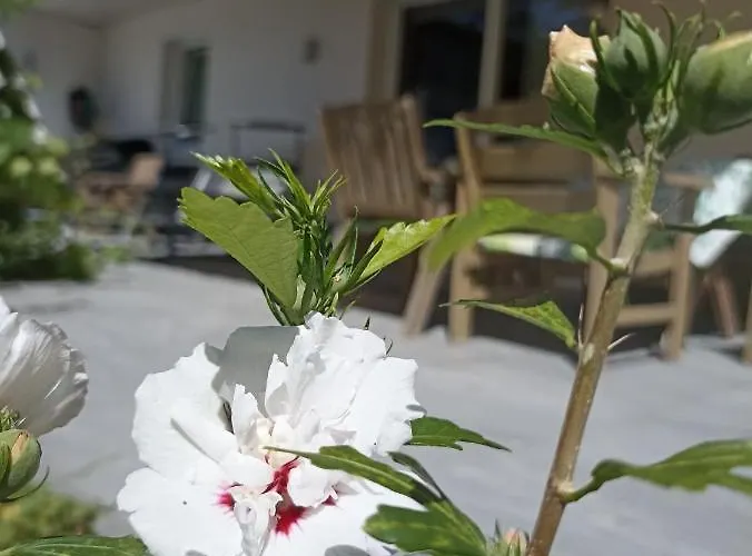 Beim Orgeler アパート