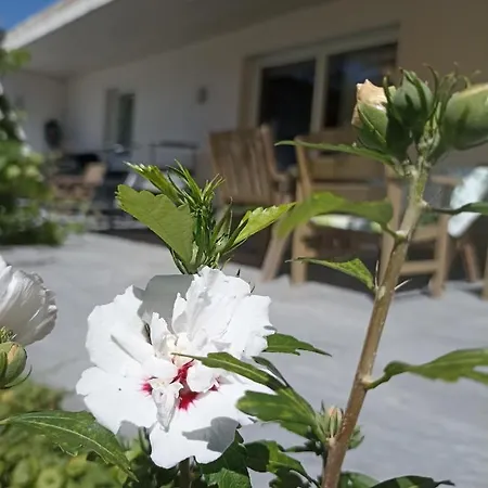 Beim Orgeler דירה